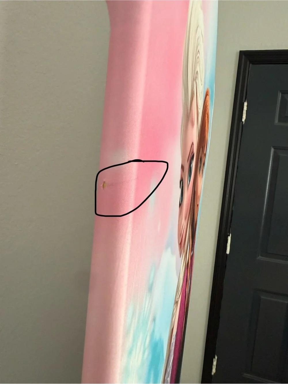 Frozen Arch Backdrop Cover (READ DESCRIPTION)